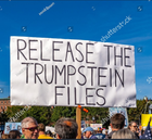 Avatar de trump-stein