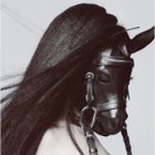 Avatar de TsunamiRandom