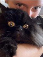 Avatar de UnstableRemind