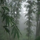 Avatar de vieheureuse00