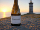 Avatar de Vinasseux