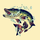 Avatar de Vladsrb92