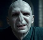 Avatar de Volde_morve