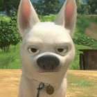 Avatar de VoltLeChien