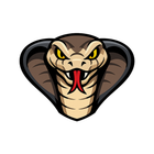 Avatar de voxobar305