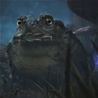 Vroden