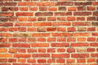 Avatar de WhaledAndWalled