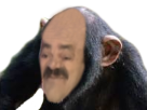 Avatar de wise_chimp