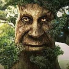 Avatar de Wise_tree