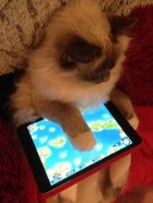 Avatar de xavier92700