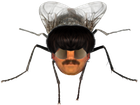 Avatar de xddxd