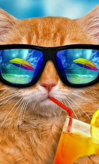 Avatar de Y2Cat
