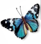 Avatar de YadomYadong