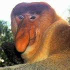 Avatar de zetfar73