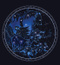 Avatar de --Celestial
