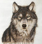 Avatar de -2eCompte