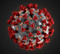 Avatar de [-Coronavirus-]