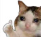 Avatar de 06360lolo