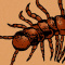 Avatar de 1006Eunuque