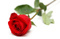 Avatar de 180roses