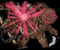 Avatar de 1_2Bluetech