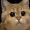 Avatar de 28juillet