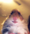 Avatar de 315comptebannis