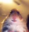 Avatar de 316comptebannis