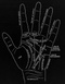 Avatar de 410ophobe