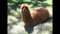 Avatar de 64cup