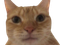 Avatar de -ArbuckleJon-