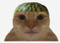 Avatar de _Gobeelo