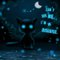 -kittycat-