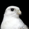 Avatar de -Marze-