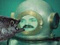 Avatar de A_la_Peche
