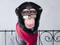 Avatar de AlvinPueLeFoutr