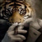 Avatar de AnusAutoritaire