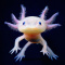 Avatar de axolotl26