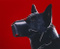 Avatar de BlondeDuNord