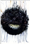 Avatar de Cardamon