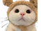 Avatar de CatKaWaii