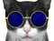 Avatar de CattusPuanticus