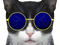Avatar de CattusPutridus