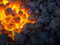 Avatar de charbonnier11
