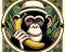 Avatar de chimpanze_oisif