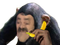 Avatar de ChimpanzeFictif