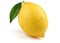 Avatar de CitronToxique