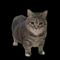 Avatar de Clikenbas