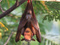 Avatar de Copeaux2Merde