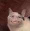 Avatar de dartoum